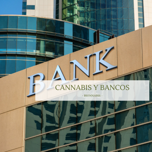 Cannabis y bancos